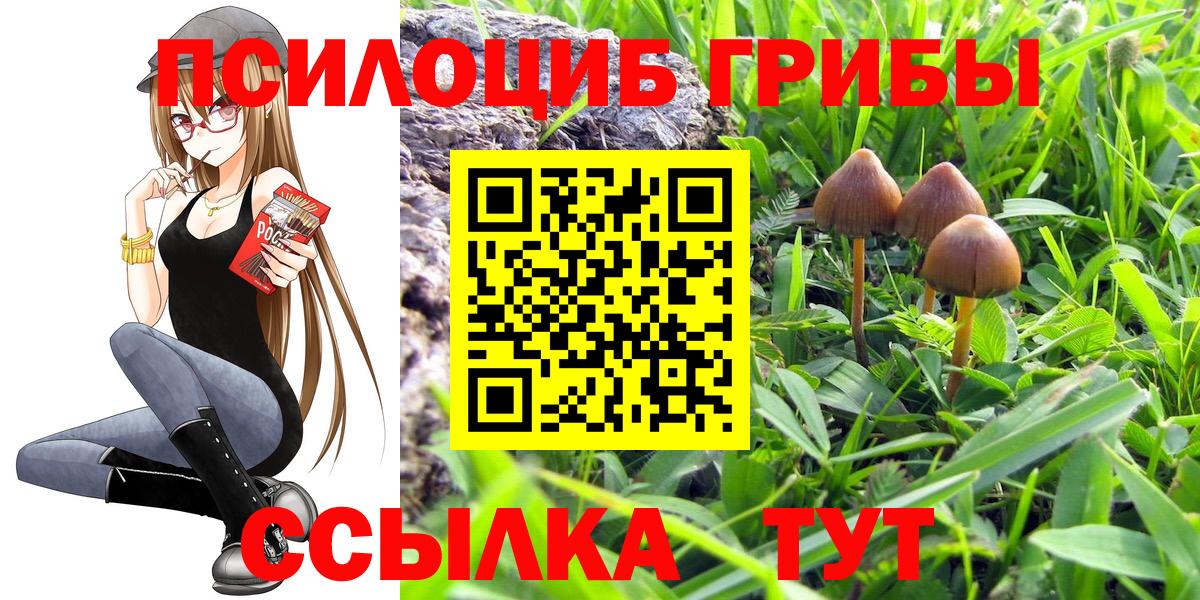 Галлюциногенные грибы MAGIC MUSHROOMS  Вход с VPN  закладка  Галлюциногенные грибы Magic Shrooms  Нефтекумск 